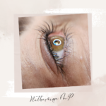 Photo d'un Maquillage permanent des yeux eye liner classique